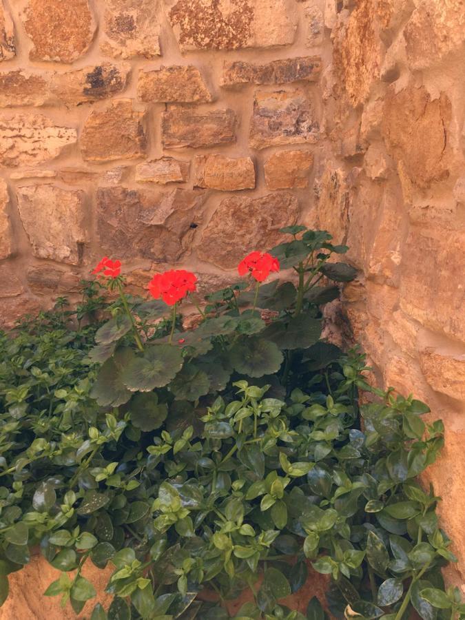 Wadi Dana Lodge - نزل وادي ضانا Kültér fotó